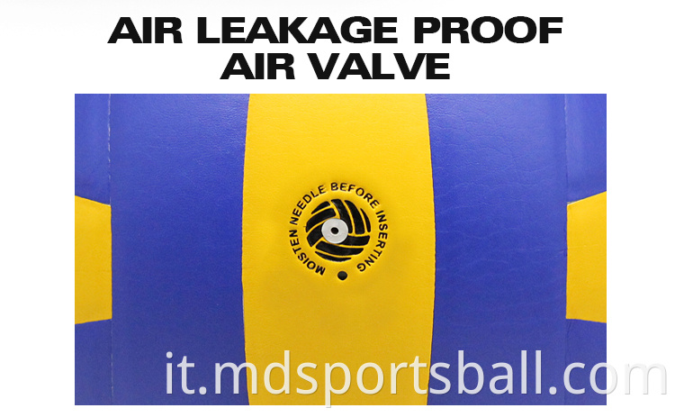 volleyball ball price